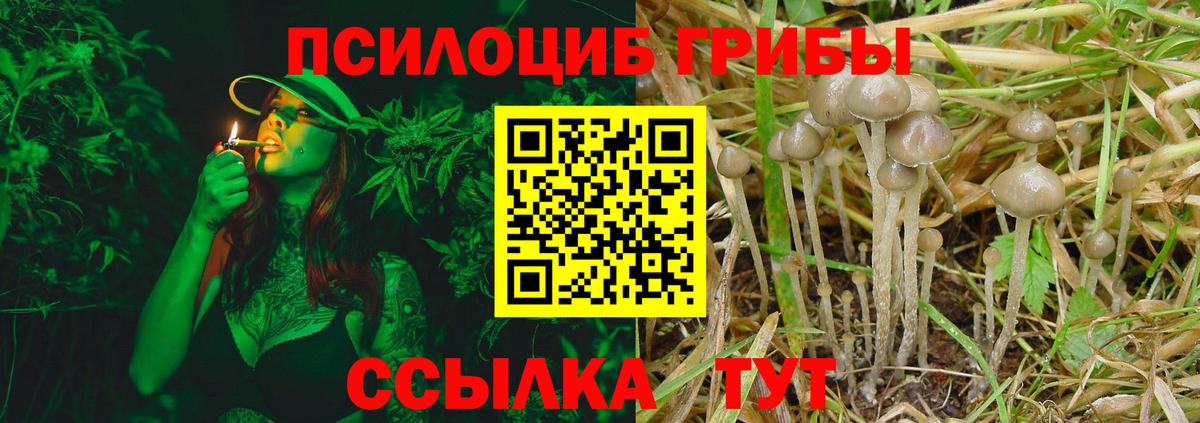 Галлюциногенные грибы мухоморы  Псилоцибиновые грибы мицелий  Орехово-Зуево  Вход с VPN 